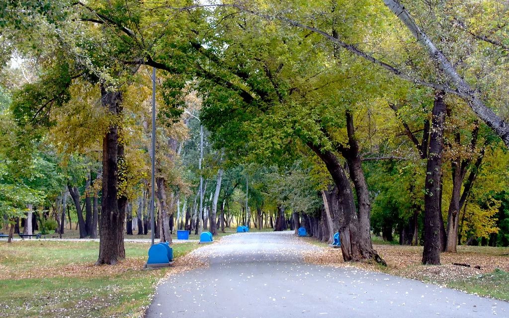 Роща оренбург. Парк Зауральная роща. Зауральская роща Оренбург. Парк Зауральская роща в Оренбурге. Зауральная роща Оренбург осенью.